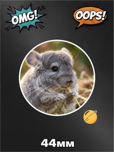 Значок шиншилла, фото №3, на рюкзак, 1 штука