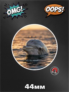Магнит дельфин, фото №6, на холодильник, 1 штука