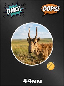 Значок сайгак, фото №6, на рюкзак, 1 штука