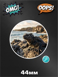 Брелок морская игуана, фото №6, для ключей, сумки, рюкзака, 1 штука