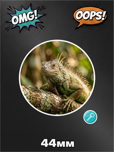 Брелок игуана, фото №1, для ключей, сумки, рюкзака, 1 штука