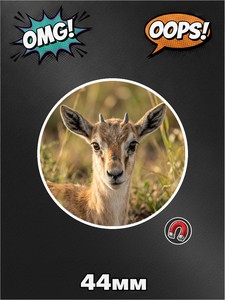 Магнит газель, фото №5, на холодильник, 1 штука