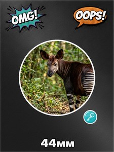 Брелок окапи, фото №4, для ключей, сумки, рюкзака, 1 штука