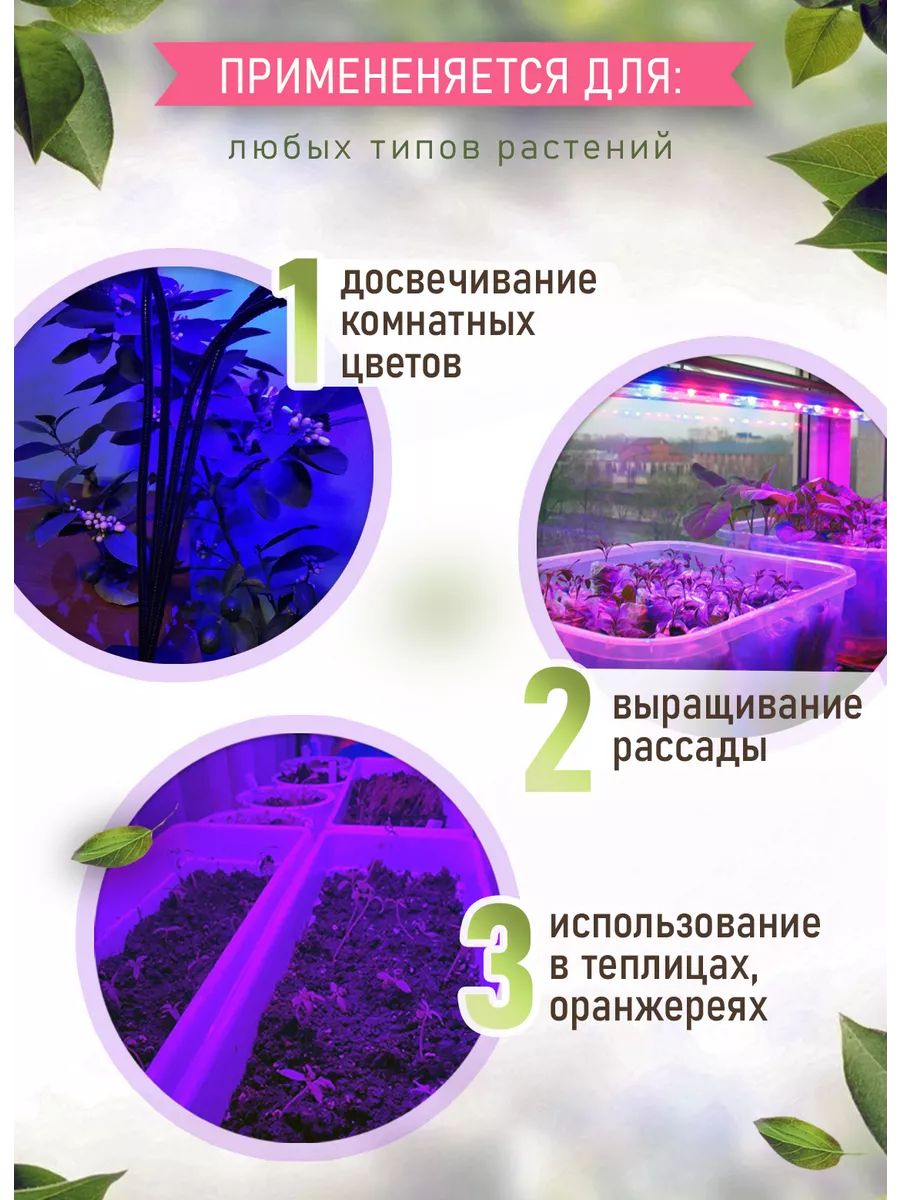 Фитолампа для растений и цветов на прищепке картинка №2